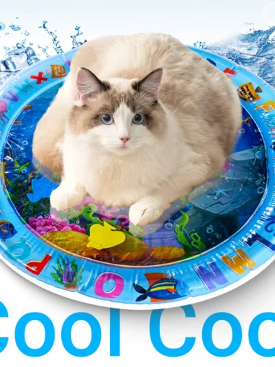 Cat Water Play Mat with Fish Toy